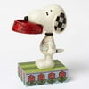 Jim Shore Peanuts More Food Please Snoopy Holding Dog Dish Figurine 4049411 New