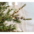 thumbnail image 3 of Home Reflections 37" Illuminated Potted Tree, 3 of 3
