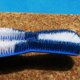 thumbnail image 3 of Naiovety Cepillo de piscina de 19 pulgadas, cabezal de vacío de succión de suciedad, herramienta de de piscina de plástico para SPA, Deportes acuáticos, 3 of 6