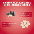 thumbnail image 3 of Semillas para aves Audubon Park Cardinal Mix 3,5 kg, 3 of 9