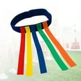 thumbnail image 3 of Catch Tail Game Belt Stretchable Colorful Interactive Tail Catching Training Equipment for Adults Kids Family Activities, 3 of 12