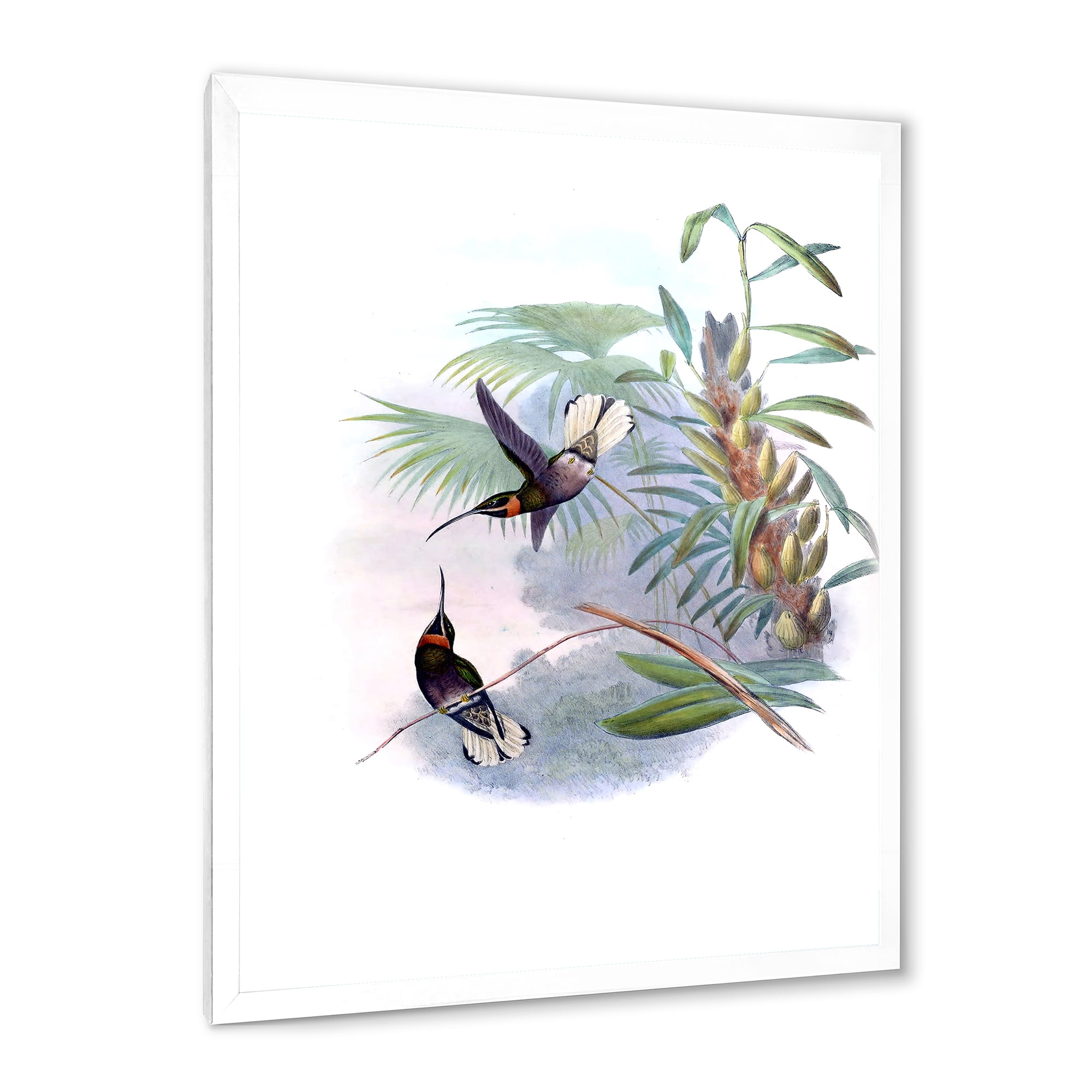 Designart 'Ancient Hummingbird On A Branch' Traditional Framed Art Print