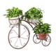 thumbnail image 2 of Soporte de exhibición para flores de bicicleta Cola Puesto de bicicletas, 2 of 4