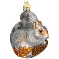 thumbnail image 1 of Old World Christmas Hungry Squirrel Glass Blown Ornament, 1 of 5