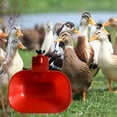 thumbnail image 4 of Large Automatic Chicken Water Cup Auto Fill Waterer Bowl Chicken Feeder Cup for, 4 of 8
