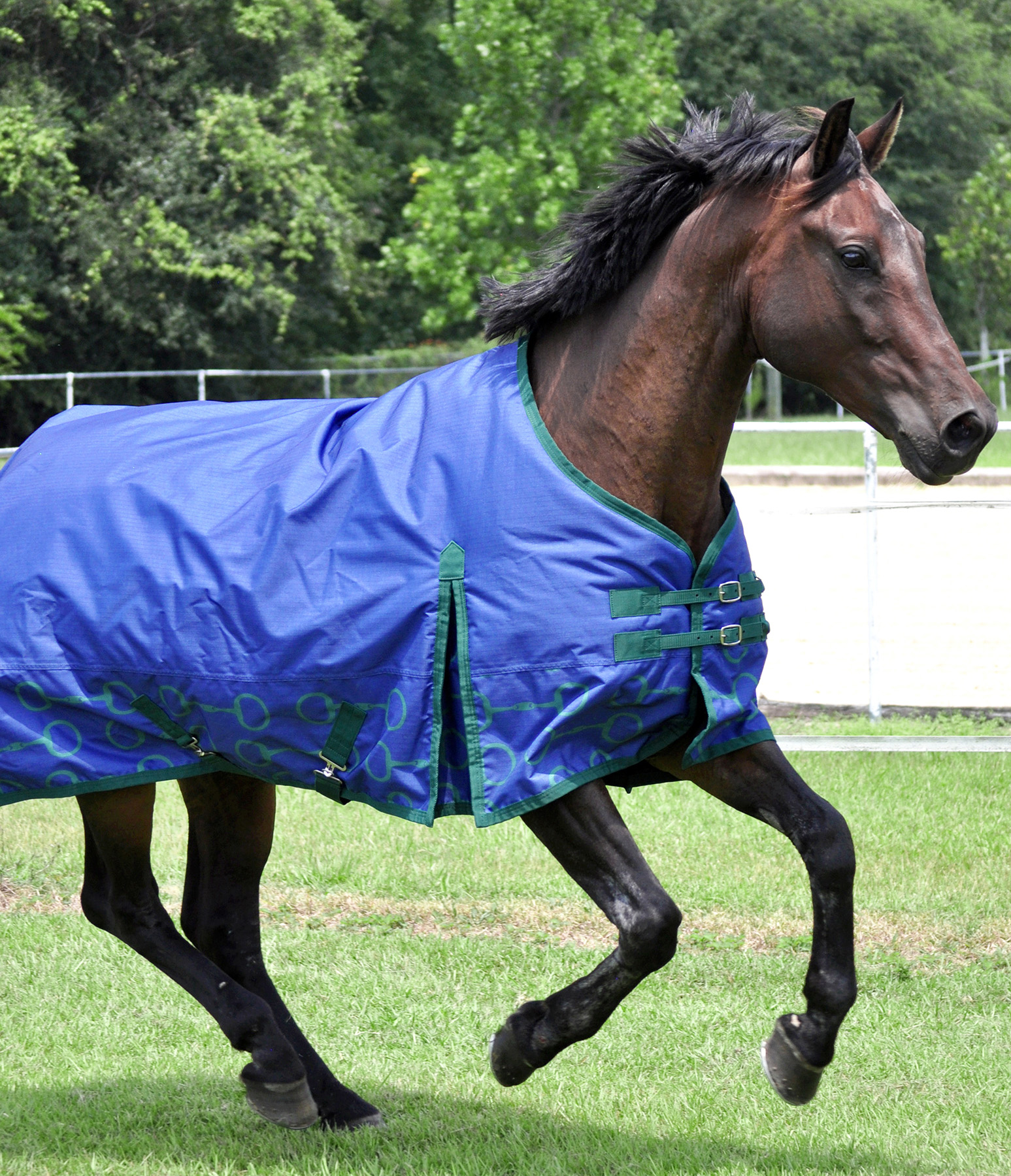 Jeffers Expression "Uniquely English" Draft Horse Blanket