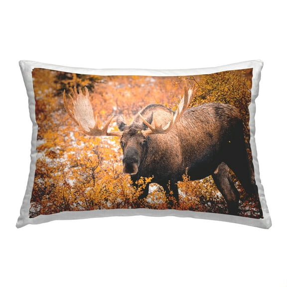 Stupell Industries Moose Among Fall Foliage Decorative Printed Throw Pillow, 14 x 20