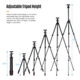 thumbnail image 5 of Andoer-2 Andoer Q160H Travel Tripod Portable Horizontal Mount 360° Panoramic Ball Head Universal for DSLR Cameras Smartphones DVs Max Load 5kg Professional, 5 of 7