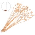 thumbnail image 3 of Shisuyan 20pcs Rattan Reed Sticks Multi-spiral Head Natural Fragrance Reed Diffuser Aroma Oil Diffuser Rattan Sticks (Light Yellow), 3 of 8