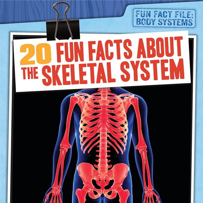 Fun Fact File Body Systems 20 Fun Facts about the Skeletal System (Paperback)
