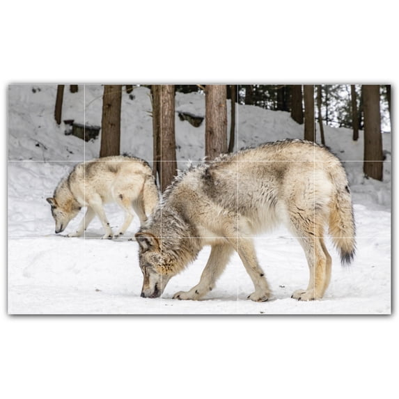 Picture-Tiles.com: Wolf Ceramic Tile Wall Mural WAL501229-53L. 40"W x 24"H using (15) 8" x 8" Ceramic Tiles-Satin Finish