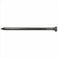 thumbnail image 2 of Grip-Rite 40D 5 in. Common Bright Steel Nail Flat Head 5 lb, 2 of 2