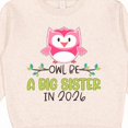 thumbnail image 3 of Inktastic Owl Be a Big Sister in 2026 Toddler Sweatshirt, 3 of 4