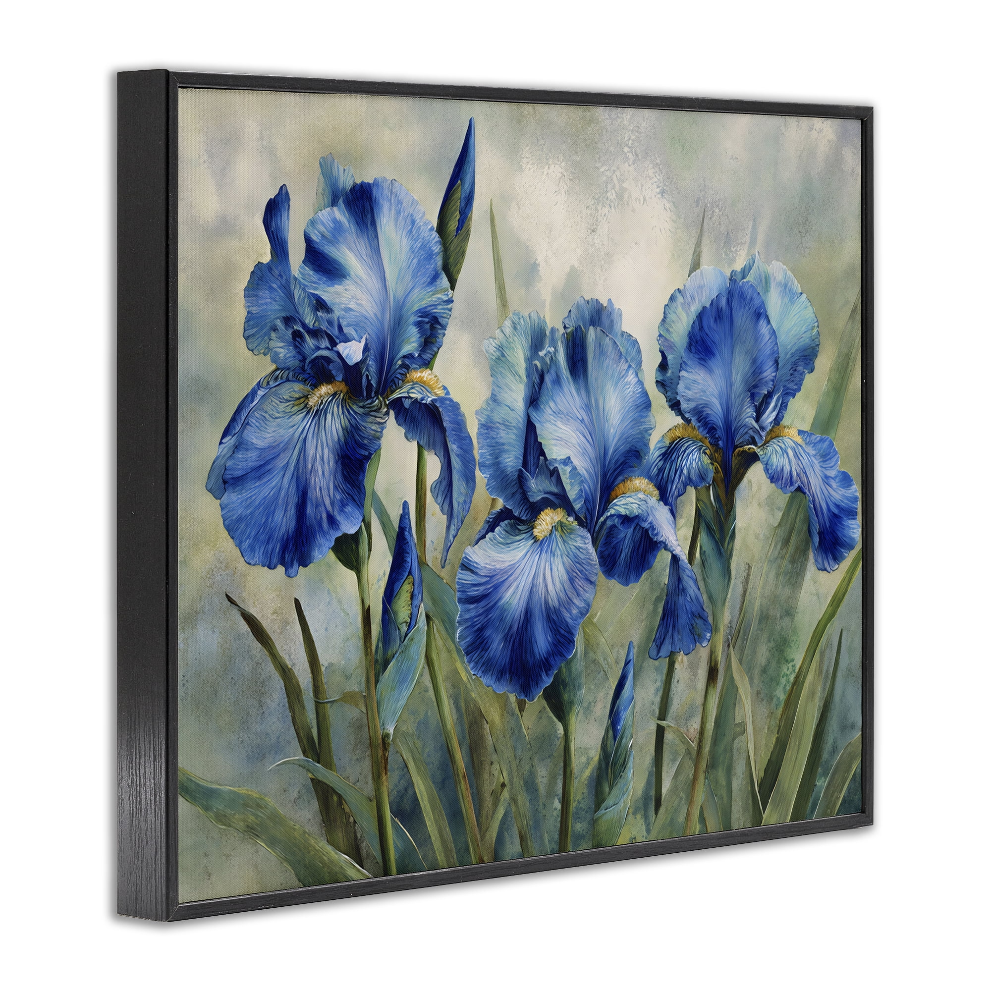 Stupell Industries Drawn Blue Iris Flowers Black Framed Giclee Art, design by Franklyn Gregory