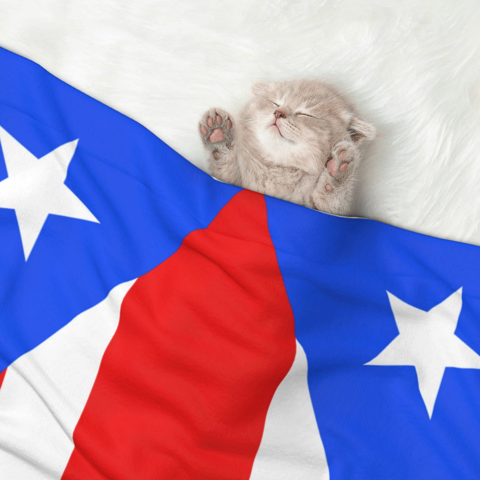 Flannel Throw Dog Blanket Pr Puerto Rico-Flag Soft Warm Print Pet Blankets for Small Dog Cat Puppy