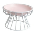 thumbnail image 3 of Cuenco elevado Yinane Comedero para gatos plato de cerámica estante de hierro desmontable, 3 of 8