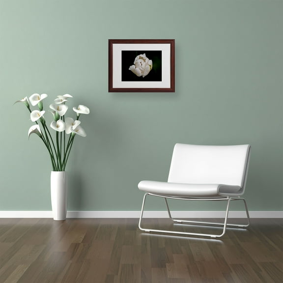 Trademark Fine Art "White Parrot Tulip" by Kurt Shaffer, Wood Frame