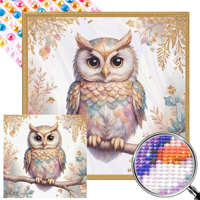 Diamante Btafrte AB parcial diamante búho serie Animal 40*40CM lienzo 45*45cm