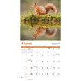 thumbnail image 4 of Carousel Calendars, Squirrels 2025 Wall Calendar, 4 of 4