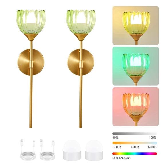 GCGAFUL Battery Operated Wall Sconces Set of 2, Wireless Rechargeable Dimmable Indoor Light with RGB and 3CCT, for Bedroom Hallway
