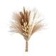 thumbnail image 1 of Ramo de hierba natural, set de decoración de hierba seca, flores decorativas de caña seca Estilo A, 1 of 9
