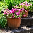 thumbnail image 5 of Sunnydaze Carlotta 14.75" x 14.75" x 11.25" Round Brown Metal Outdoor Planter 2-Count, 5 of 9