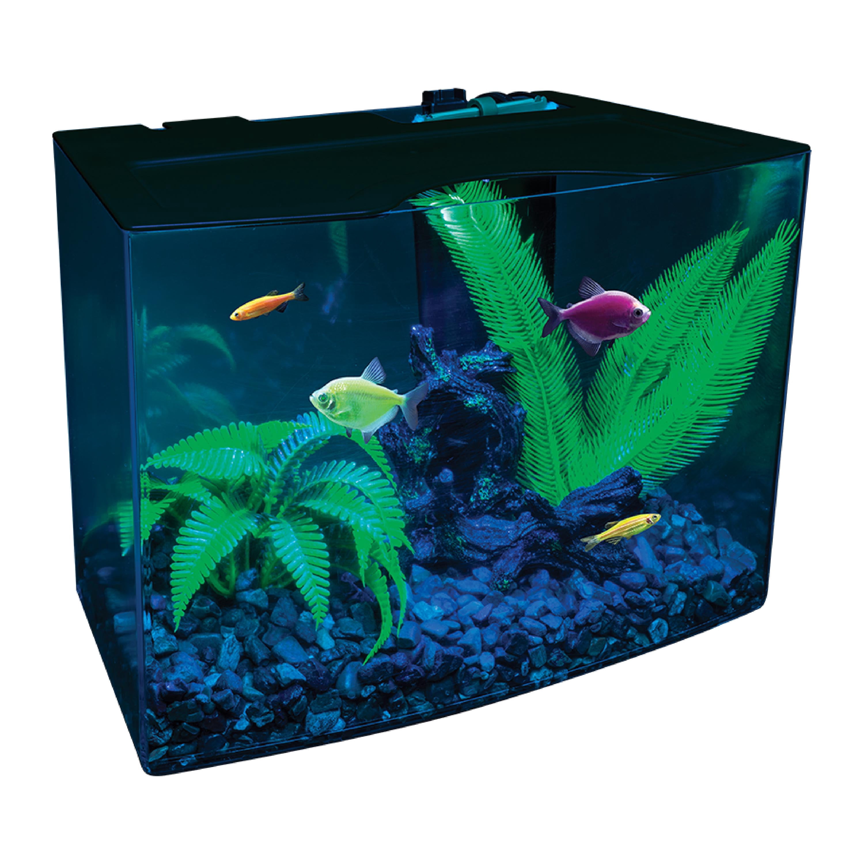 GloFish Tank With Gravel!