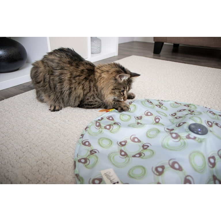 Petlinks mystery motion clearance not working