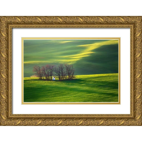 Browko, Krzysztof 18x13 Gold Ornate Wood Framed with Double Matting Museum Art Print Titled - Fields