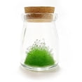 thumbnail image 3 of Planting DIY Constellation Crystal Wishing Bottle Growing Crystal, Children's Birthday Gift, 3 of 3