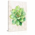 thumbnail image 2 of Canvas Wall Art Green Succulent Canvas Art Print Green Leaves Plants Abstract Art Pictures Wall Decor for Living Room Bedroom Artwork Decorations Stretched Framed Ready to Hang 8"x10", 2 of 9