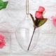 thumbnail image 3 of Plantas colgantes macetero de plantas ANGGREK florero pared hidropónico, 3 of 8
