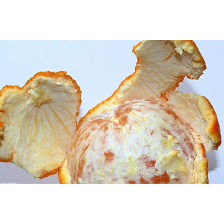 LAMINATED POSTER Orange Orange Peel Delicious Fruit Citrus Fruit Poster Print 24 x (Best Chorus Pedal For The Money)