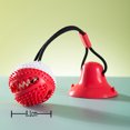 thumbnail image 1 of Dog Teeth Grinding Toy, Small and Medium sized Dog, Puppy, Big Dog, Bite resistant, Sound making Dog, Self pleasingly Teeth Grinding Pet Spherical products (suction cup bell leakage ball), 1 of 1
