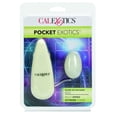 thumbnail image 3 of Pocket Exotics Glow-in-the-Dark Egg, 3 of 5