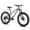LightGray, variant on 24" Wheel Fat Tire Mountain Bike for Adult Teens,13.5"Aluminum Frame Mountain Bicycles,Rear 8 Speeds Gears with Double Disc Brakes
