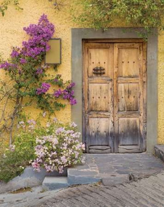Doorway In Mexico I