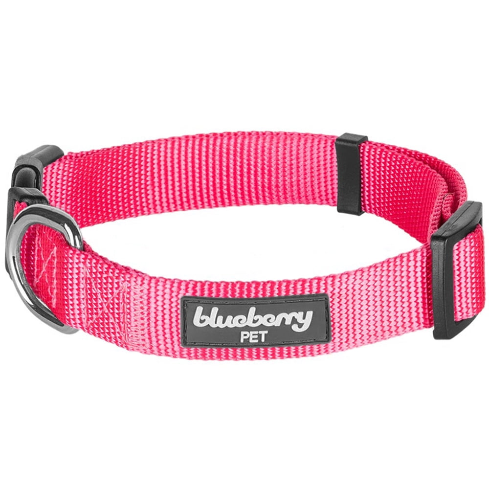 Blueberry Pet Classic Nylon Dog Collar, French Pink, Medium