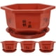 thumbnail image 1 of Macetas para bonsái engrosadas, soportes para paisajes de plantas, cuencas para plantar flores, macetero Hexagonal engrosado, 4 Uds., 1 of 5