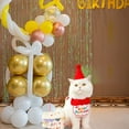 thumbnail image 6 of KANG Birthday Party Hat Bibs Scarf And Cat, 6 of 7