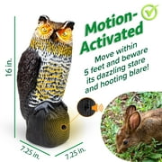 Livin' Well Hooty | Environment Friendly, Solar Powered, Motion Activated Owl Decoy