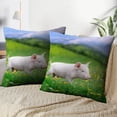 thumbnail image 3 of LALILO Throw Pillow Covers Young Pig Spring Green Grass Meadow Pig Cushion Cover 18" x 18", 4260 Pack, 3 of 6
