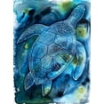 thumbnail image 2 of Varacek, Pam 19x24 White Modern Wood Framed Museum Art Print Titled - Vibrant Turtle 1, 2 of 4