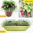 thumbnail image 2 of Injueey 10 piezas, soporte para , soporte para plantas de protección de , resistente y duradero, no está mal para el hogar, el jardín, el Jardín y Patio, 2 of 6