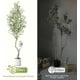 thumbnail image 4 of 7ft (1 piece) de altura artificial olive tree con blanca planter y green fake moss para home oficina sala de estar dormitorio stairs y foyer decor, 4 of 5