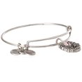 thumbnail image 2 of Alex and Ani Fortune's Favor Rafaelian Silver Bangle Bracelet, 2 of 9