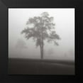 thumbnail image 2 of Cook, Jamie 15x15 Black Modern Framed Museum Art Print Titled - Fog Tree Study I, 2 of 5