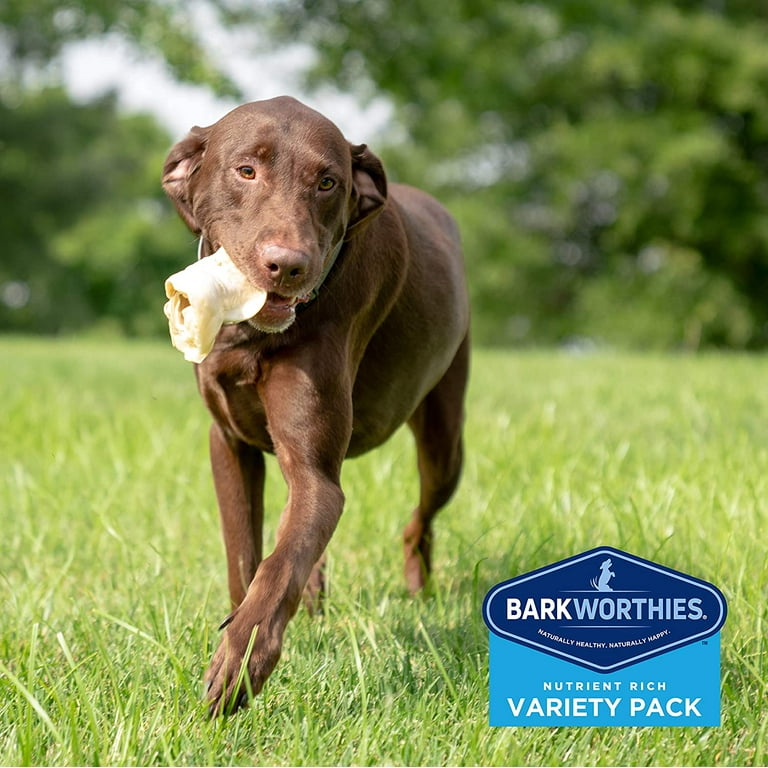 Barkworthies Large Breed Variety Pack Natural Dog Chews 4 count Walmart