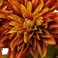 thumbnail image 2 of Nearly Natural Dahlia Artificial Arrangement with Glass Vase, Orange, 2 of 3