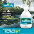 thumbnail image 2 of Zephyrhills Florida Spring Water, 8 fl oz, 12-Pack Plastic Bottles, 2 of 6